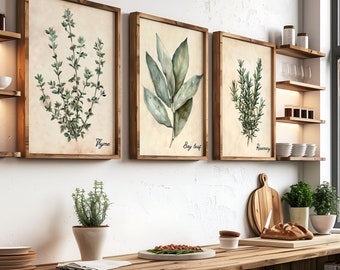 Vintage Aquarell Kräuter Print Set von 6, Cottagecore Kräuter Wand Dekor Bundle Poster, Bauernhaus Rosmarin Salbei Thymian Wand Kunst