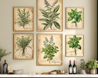 May include: Six framed botanical prints of herbs, including rosemary, sage, mint, thyme, marjoram, and basil. Each print features a detailed illustration of the herb with its name in a handwritten font, set against a vintage paper background.