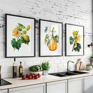 Watercolor Squash Kitchen Print set of 3, Squash Flowers Art Print, Squash Wall Art set of three, Squash Printable Art, Veggie Wall Decor