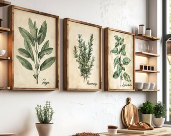 Vintage Watercolor Herbs Print Set of 3,6 or 12 Cottagecore Old Paper Herbs Wall Art Set Farmhouse Wall Decor Herbs Poster FREE SHIPPING