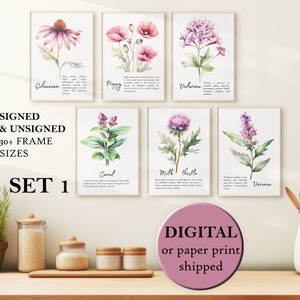 Acuarela Hierbas Pared Arte Pastel PINK CORAL Botánica Carteles Conjunto de Seis Herbario Decoración Herbario Impresión conjunto de 6 Flores Medicinales Conjunto de Seis