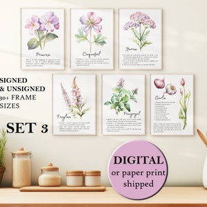 Watercolor Herbs Wall Art Pastel PURPLE Color Botany Posters Set of Six Herbalism Decor Herbarium Print set of 6 Medicinal Flower Set of Six