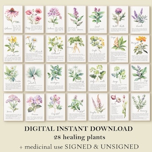 Acuarela Hierbas Pared Arte Moderno Pastel Paquete Flores Curativas Arte de 28 Plantas Medicinales Herbario Decoración Herbario Impresión Set Hierba IMPRIMIBLE