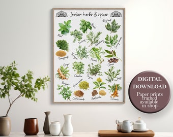 Watercolor Indian Food Print Kitchen Herbs Poster Asian Culinary Decor Desi Food Wall Art Printable Herbs and Spices Art Large Size 30x40