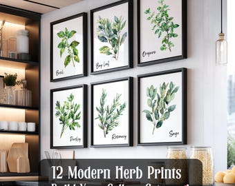 Aquarell Kräuterdruck Set von 12, moderne Küchenkräuter-Set Bundle, Kräuter-Wand-Dekor bedruckbar Digital