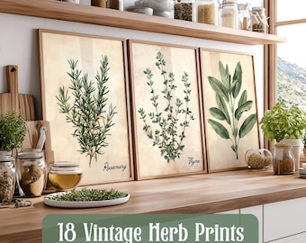 May include: Three framed vintage herb prints featuring rosemary, thyme, and sage illustrations. The prints have a beige background and are displayed on a wooden countertop. The text "18 Vintage Herb Prints Build Your Gallery Set" is at the bottom.