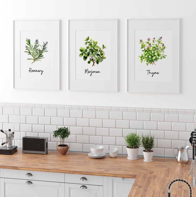 Watercolor Herb Illustration Set of 12 Prints Herb Prints Dining Room ...