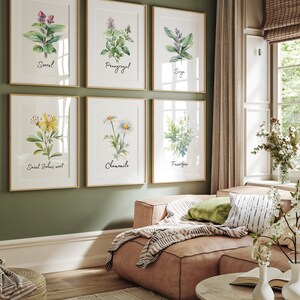 naturopath wall art