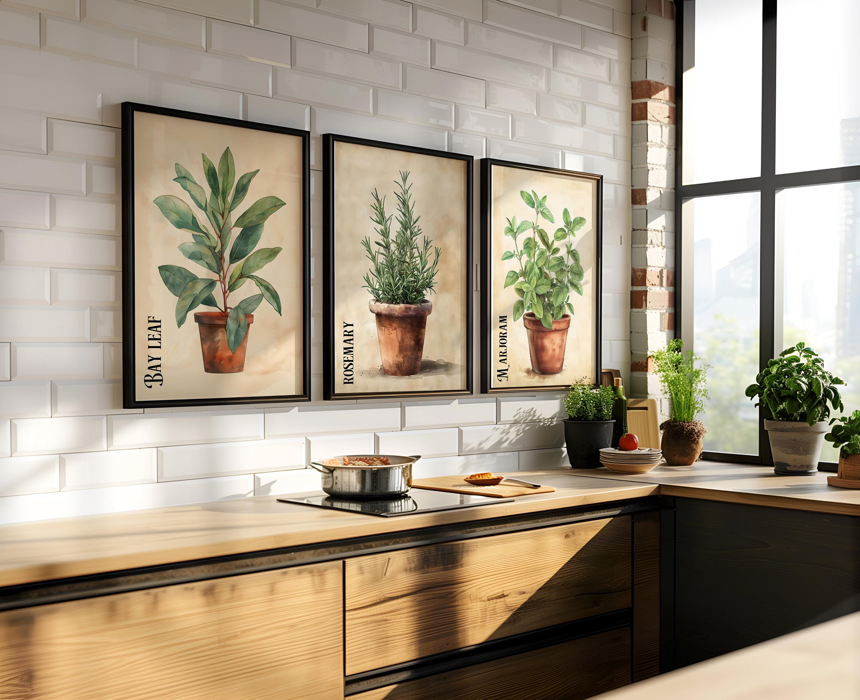 Vintage Clay Potted Herbs Wall Art of 3 6 12, Kitchen Culinary ...