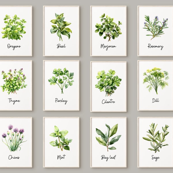 Herbs Painting - Etsy