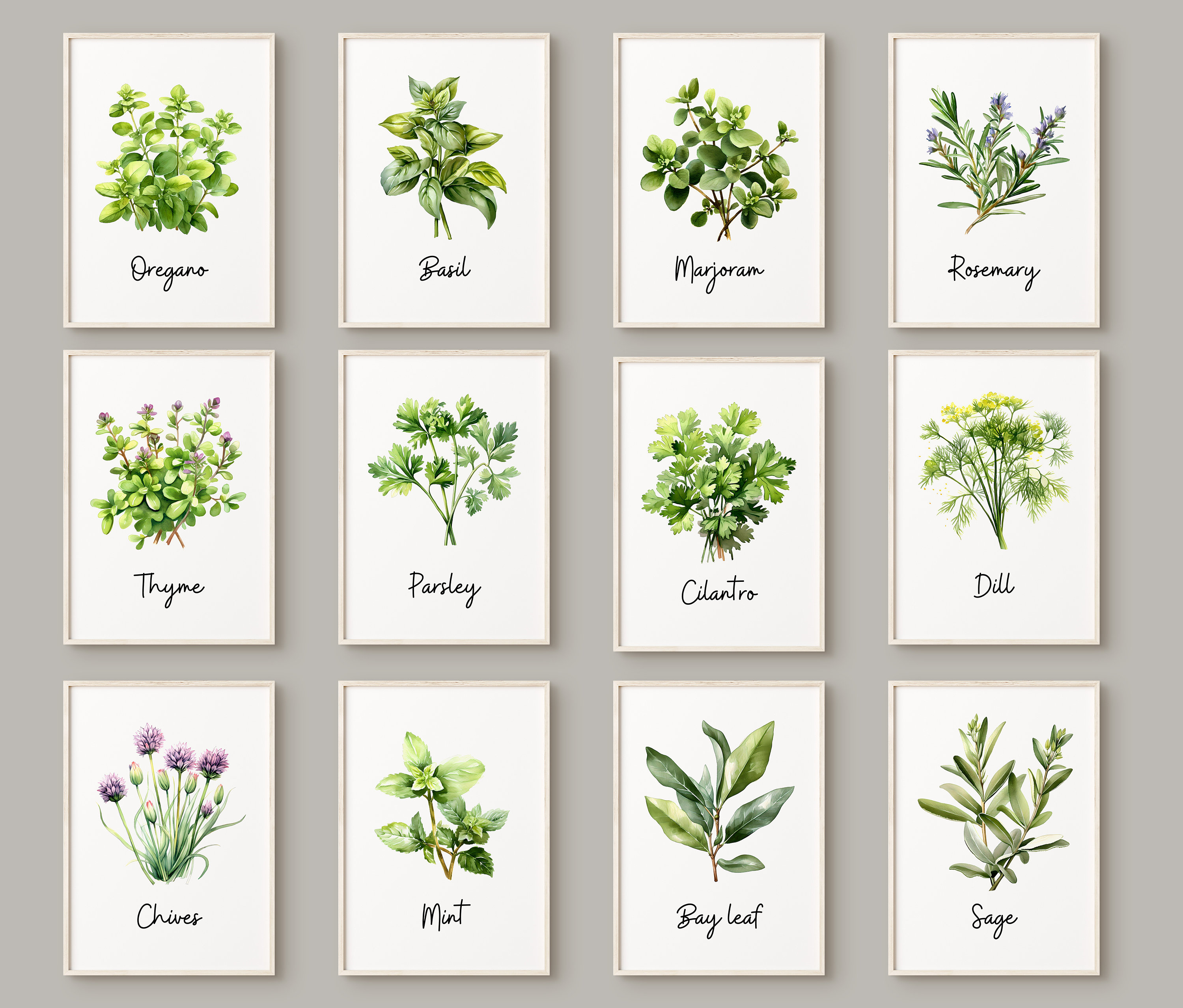 Watercolor Herbs Print Set of 3 or 6 or 12 Kitchen Herbs Gallery Wall ...