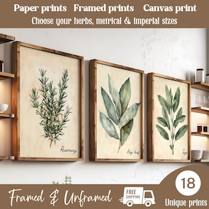 Set di stampe di erbe acquerellate vintage da 3, 6 o 12 pezzi Cottagecore Old Paper Herbs Wall Art Set Farmhouse Wall Decor Herbs Poster SPEDIZIONE GRATUITA