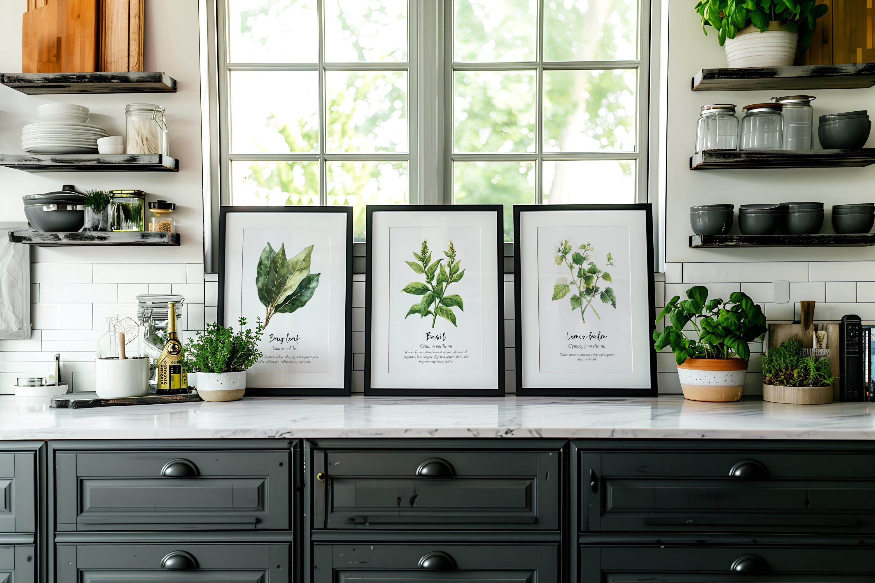 Watercolor Medicinal Herb Wall Art Set of 20, Healing Herb Guide Bundle ...