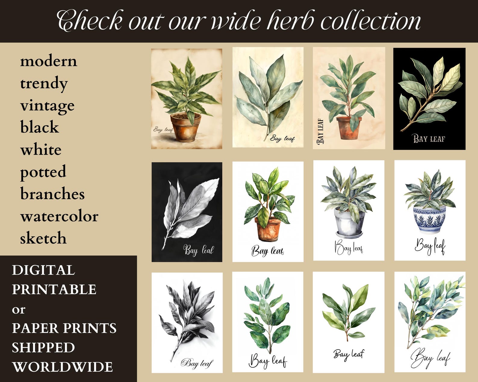 Vintage Clay Potted Herbs Wall Art of 3 6 12, Kitchen Culinary ...