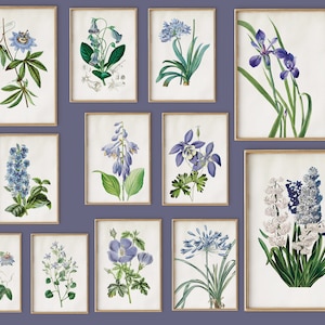 Vintage Blue Flowers Wall Art Set of 12, Blue Lily Iris Passion Flower Hyacinths Bundle Print Set of 12, Antique Botanical Blue Gallery Wall