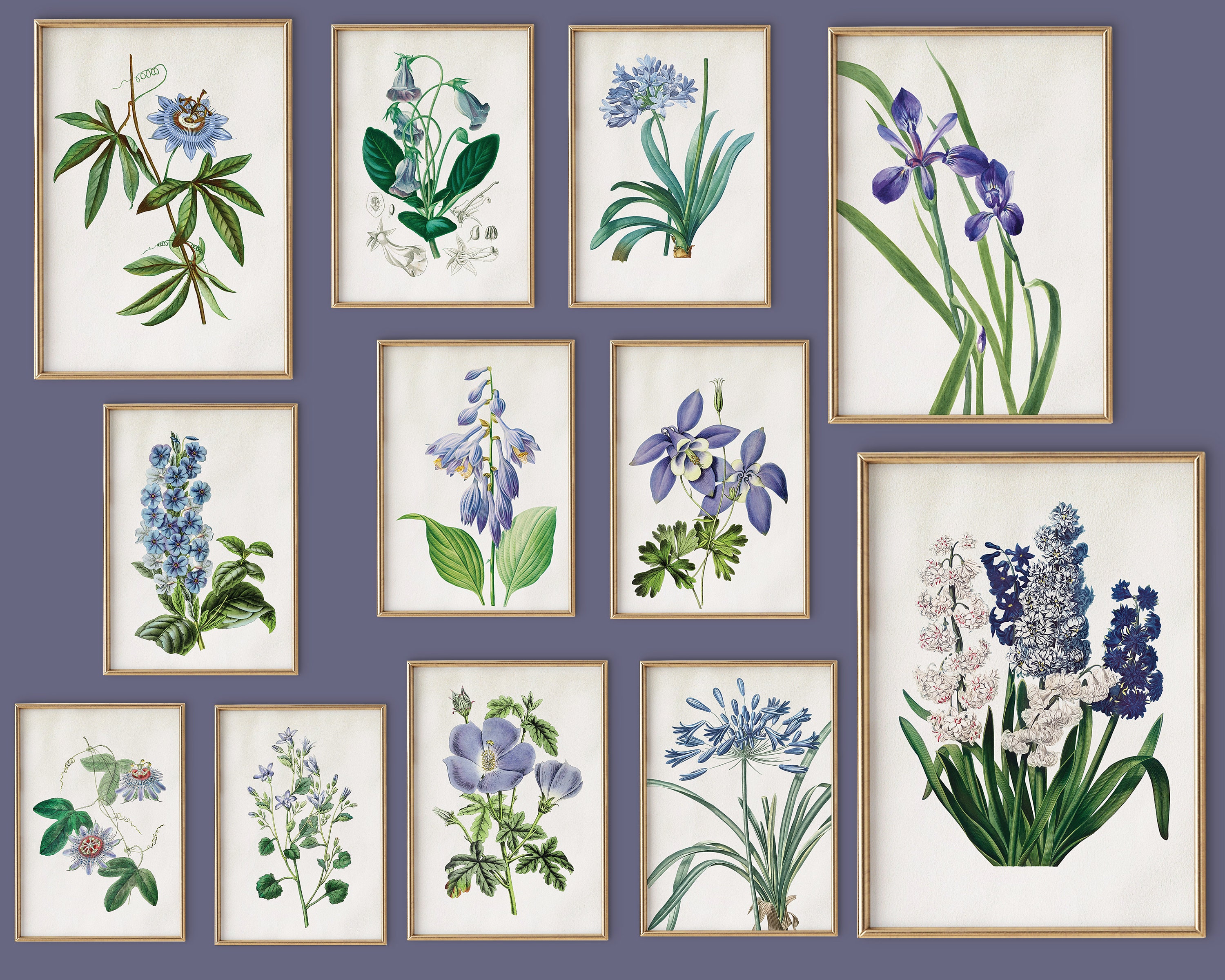 Vintage Blue Flowers Wall Art Set of 12, Blue Lily Iris Passion Flower Hyacinths Bundle Print Set of 12, Antique Botanical Blue Gallery Wall
