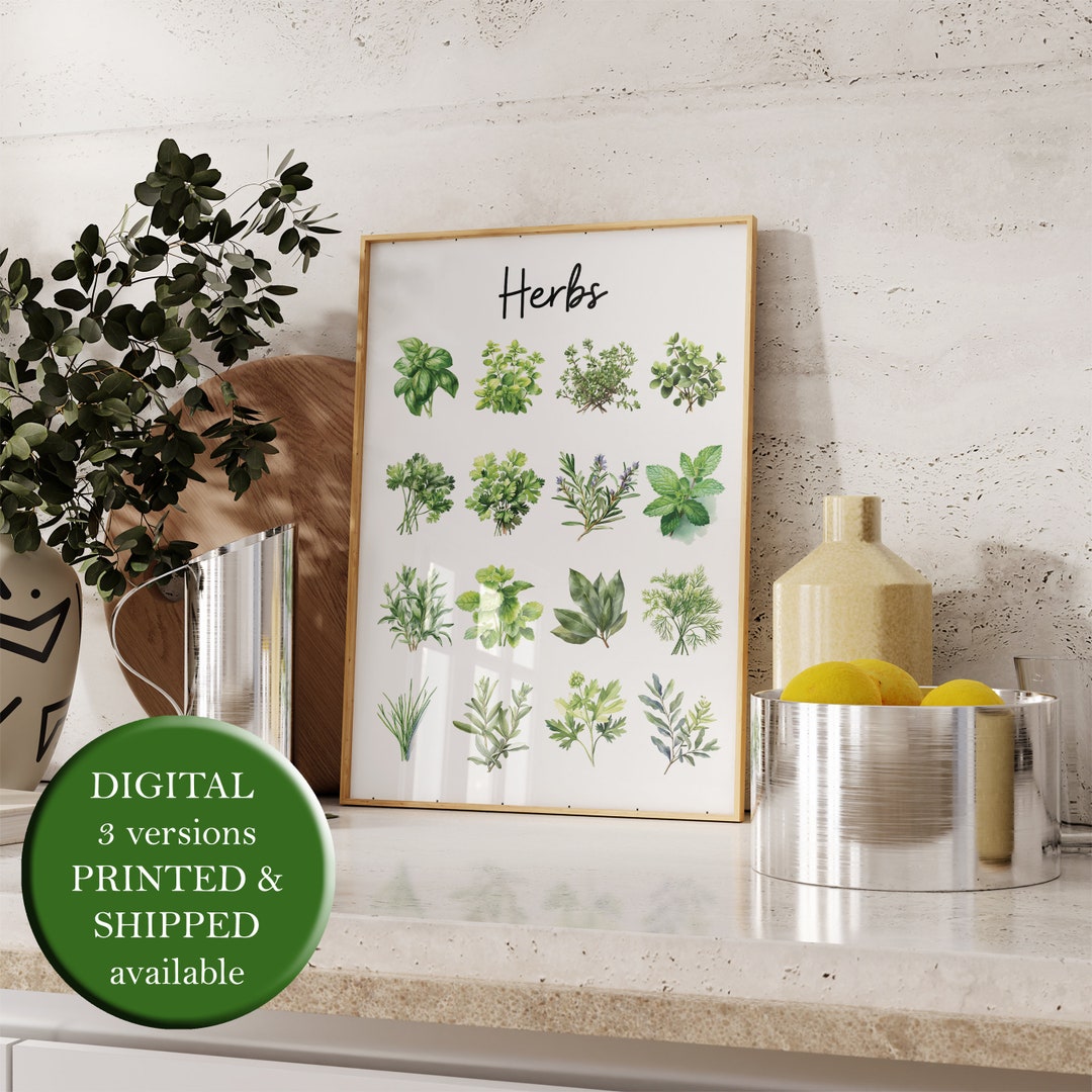Watercolor Herbs Print Guide Herbal Poster Herb Wall Art Culinary ...