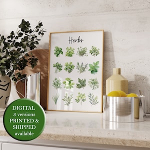 Guida alla stampa delle erbe dell'acquerello Poster alle erbe Arte della parete delle erbe Stampe culinarie Decorazione alimentare minima Rosmarino Basilico Foglia di alloro Menta STAMPABILE o CARTA