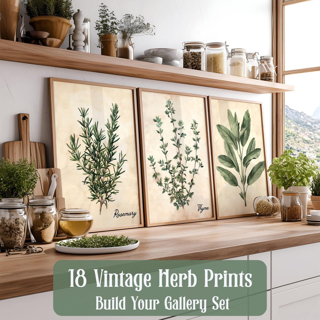 botanical herb prints set of 4 unframed botanical herb... Retro Herb Wall Art Set | 18 Botanical Kitchen Prints | Framed or ...
