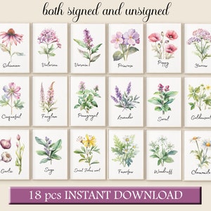 Aquarelle plantes médicinales Art herbier impression ensemble de 18 fleurs pastel clair à base de plantes télécharger affiche médicinale ensemble naturopathe Wall Art