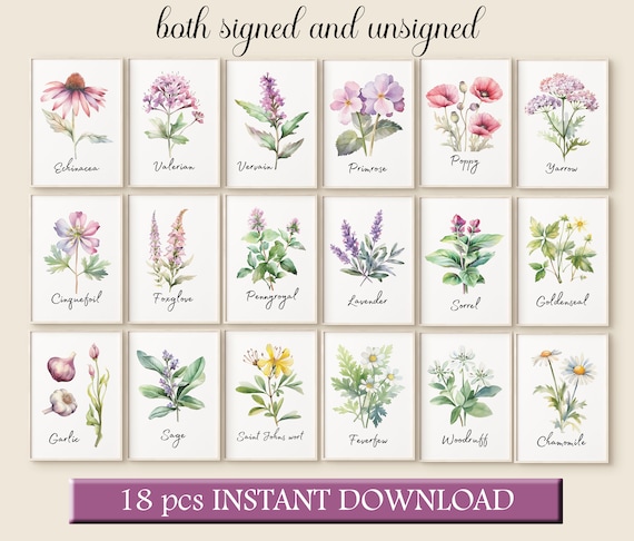 Watercolor Healing Plants Art Herbarium Print Set of 18 Light Pastel Flowers Herbal Download Medicinal Poster Set Naturopath Wall Art