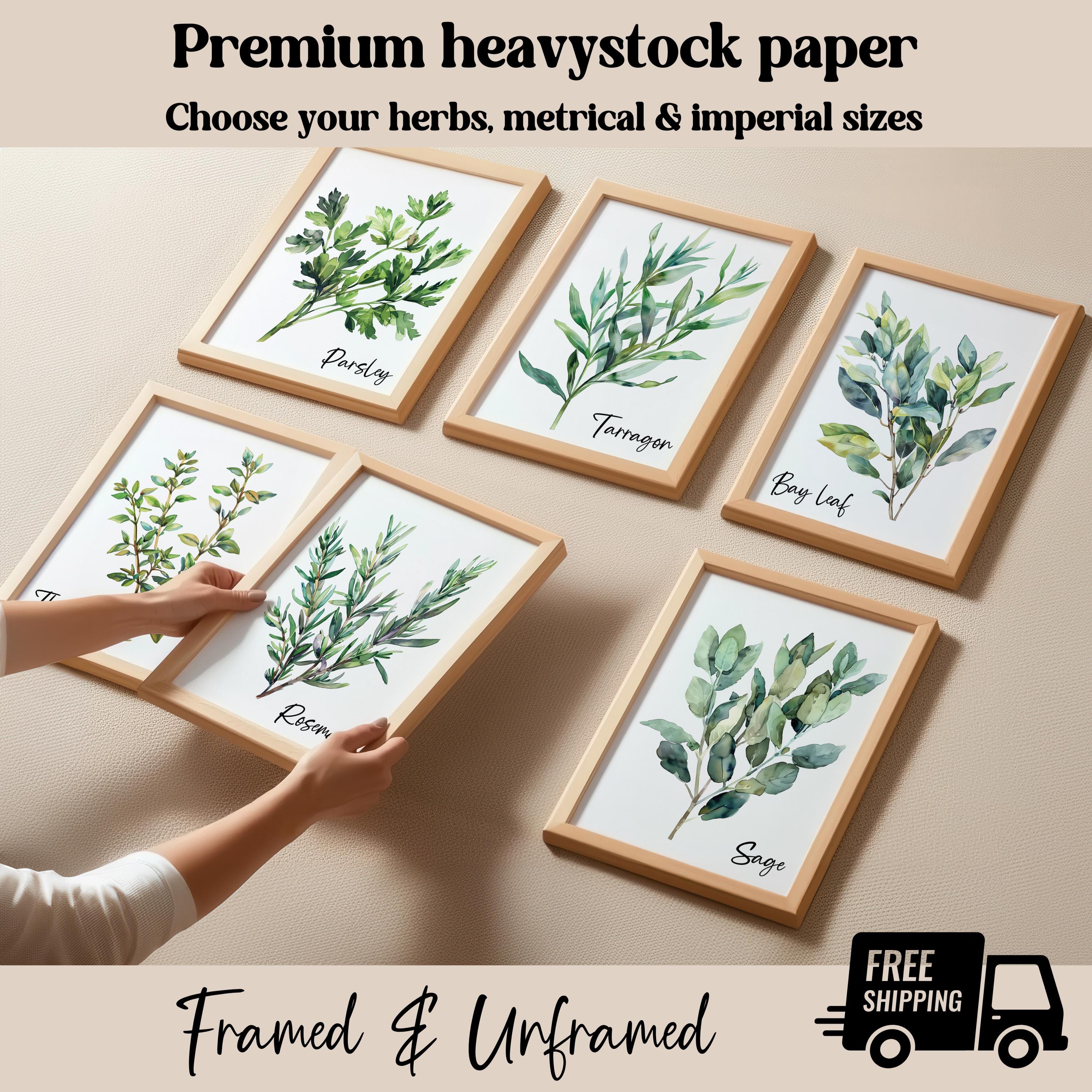 Watercolor Herb Gallery Wall Art Sign Set of 2 3 4 6, Modern Kitchen ...