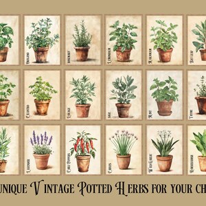 Vintage Clay Potted Herbs Wall Art of 3 6 12, Kitchen Culinary ...