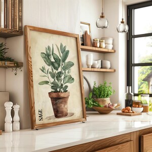 Vintage Clay Potted Herbs Wall Art of 3 6 12, Kitchen Culinary ...