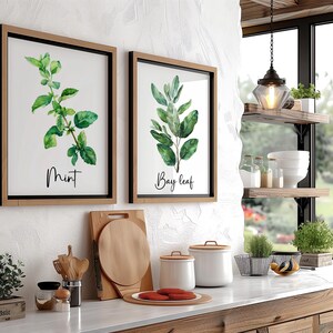 Modern Watercolor Herbs Print Set of 3,6 or 12, Kitchen Botanical Herb ...