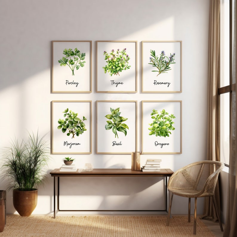 Watercolor Herb Illustration Set of 12 Prints Herb Prints Dining Room ...