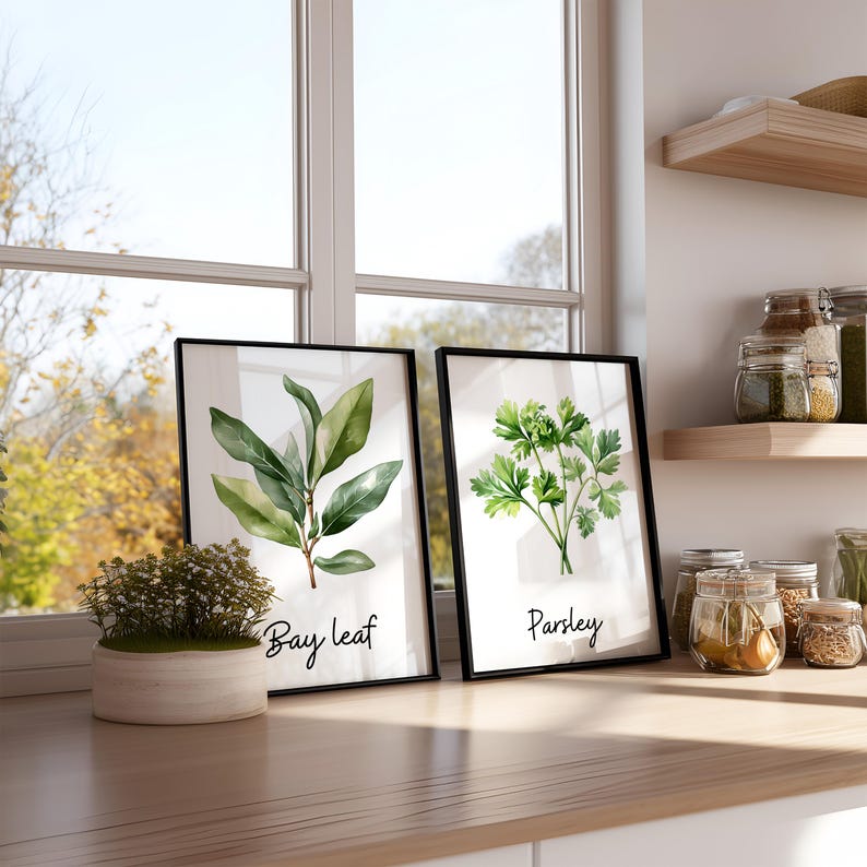 botanical herb prints set of 4 unframed botanical herb... Watercolor Herb Wall Art Set | Framed or Unframed Botanical Kitchen ...