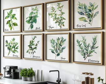 Aquarell Kräuter Bundle Wand Kunst Zeichen Set von 8, moderne Küchenkräuter-Set, Kräuter-Wand-Dekor druckbare, digitale Kräuterbündel, Kräuterkundler Geschenkidee