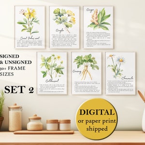 Watercolor Herbs Wall Art Pastel YELLOW Color Botany Posters Set of Six Herbalism Decor Herbarium Print set of 6 Medicinal Flower Set of Six