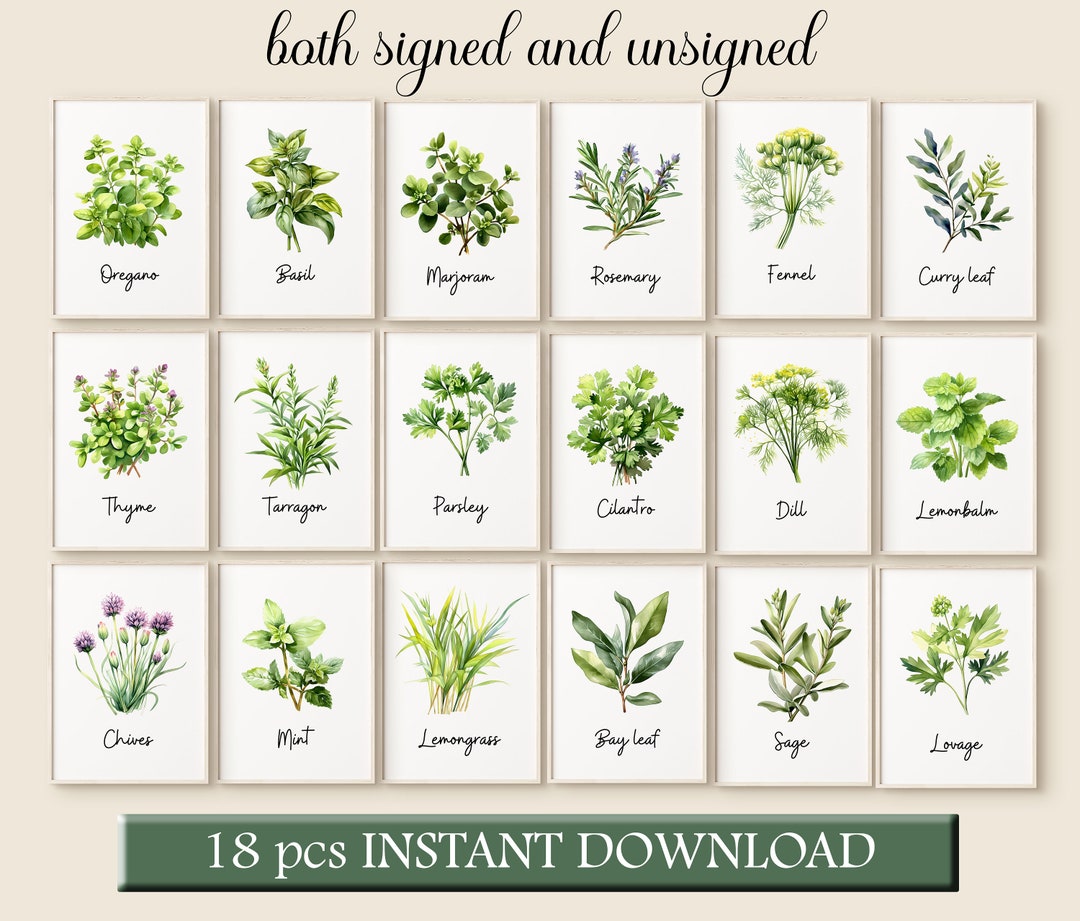 Watercolor Herbs Painting Set of 18 Prints Farmhouse Kitchen - Etsy