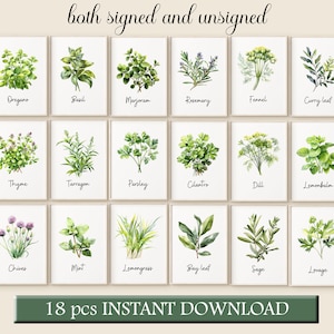 Aquarell-Kräuter-Druck, Set mit 18 Kräutern, Illustrationen, rustikaler Küchenkräuter-Druck, Kräuter-Wandkunst, Kräuter, botanische Küchenkunst, druckbare Kräuter