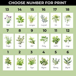 Watercolor Herb Prints Set of 18 – Printable Kitchen Wall Art Bundle ...