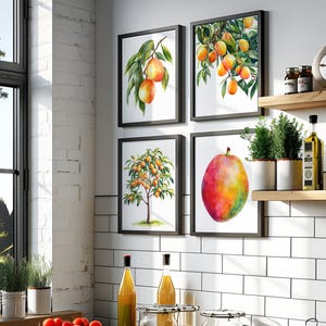 Watercolor Mango Wall Art Set of 4, Mango Fruit Branch Tree Print Set of four, Tropical Kitchen Mango Art Print, Mango Printable Art Poster