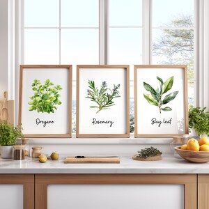 Watercolor Herb Prints Set of 18 – Printable Kitchen Wall Art Bundle ...