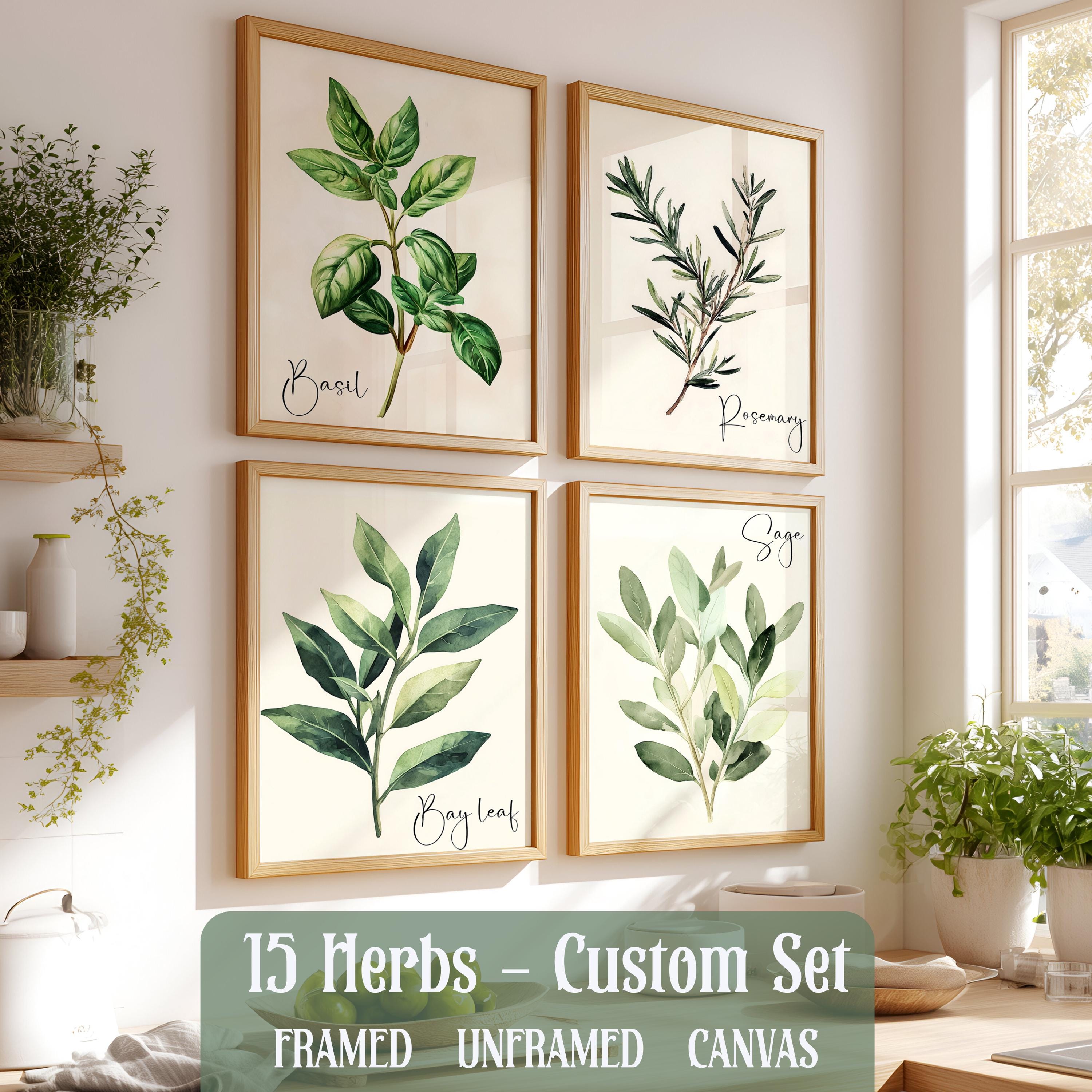 Watercolor Herb Art Print Set, Framed Kitchen Wall Decor, Culinary