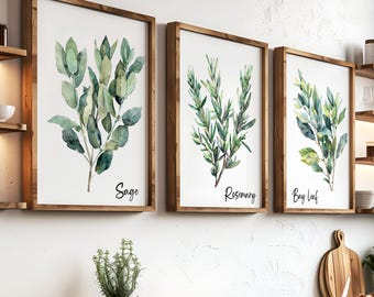 Watercolor Herb Bundle Wall Art Sign Set Of 3, Modern Kitchen Herb Set of three, Herb Wall Decor Printable, Bay Leaf Sage Rosemary Poster