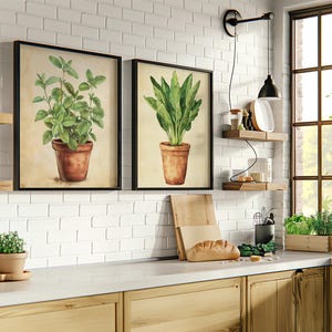 Vintage Clay Potted Herbs Wall Art of 3 6 12, Kitchen Culinary ...