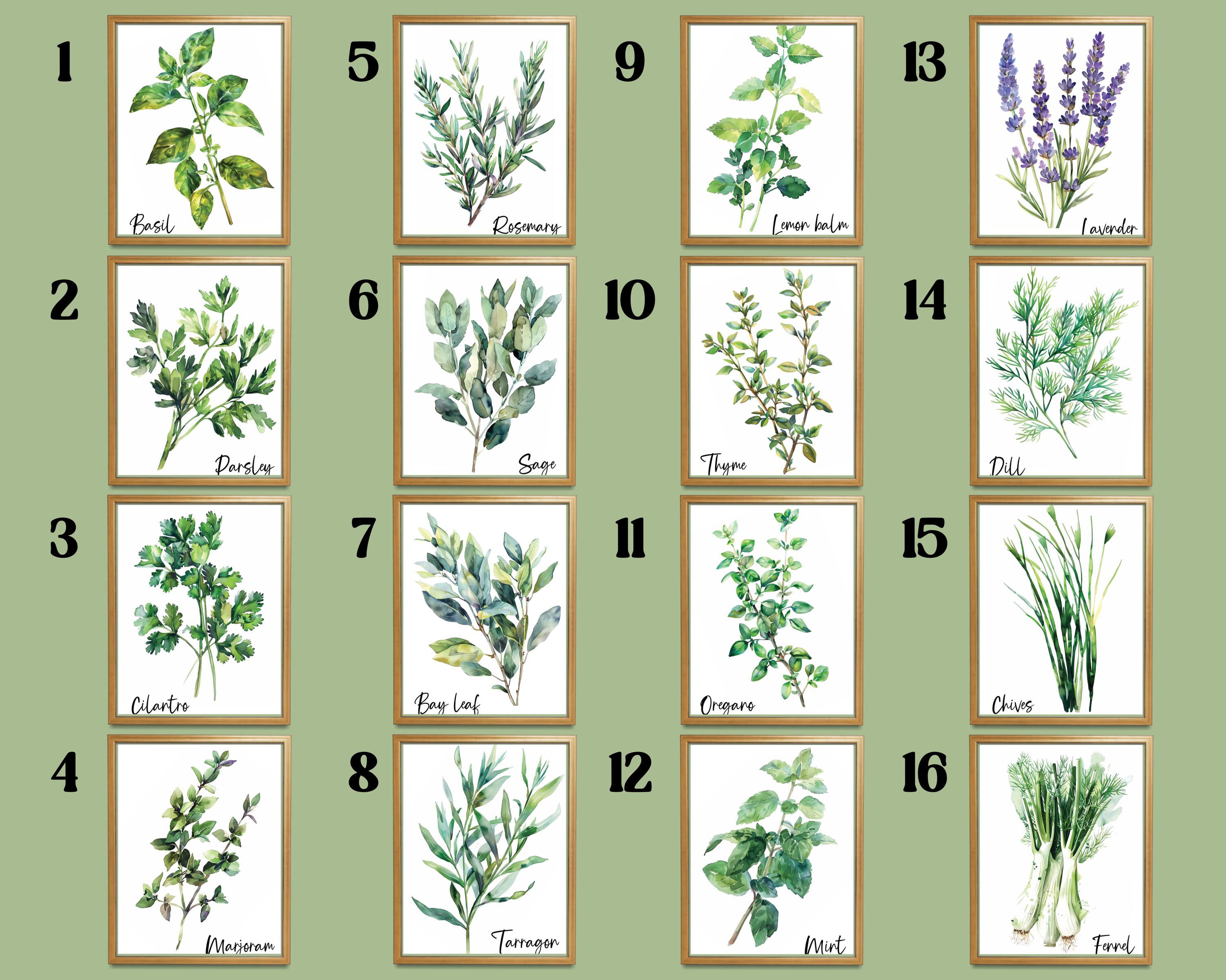 Watercolor Herb Gallery Wall Art Sign Set of 2 3 4 6, Modern Kitchen ...