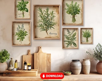 Vintage Watercolor Herb Art Print Set of 8, Old Paper Herb Branches Wall Art Set, Rustic Herb Poster, Herbarium Herbalist Gift PRINTABLE