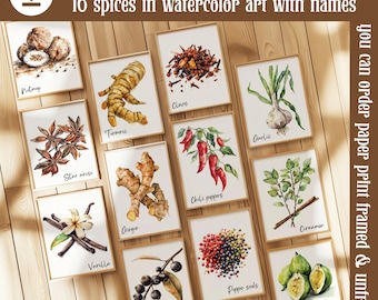 Watercolor Spices Wall Art Set Of 16, Modern Spice Gallery Wall Big Bundle, Spice Culinary Art Print Big Set, Spices Wall Decor Printable
