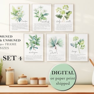 Watercolor Herbs Wall Art Pastel MINT Color Botany Posters Set of Six Herbalism Decor Herbarium Print set of 6 Medicinal Flowers Set of Six