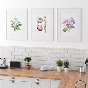 naturopath wall art