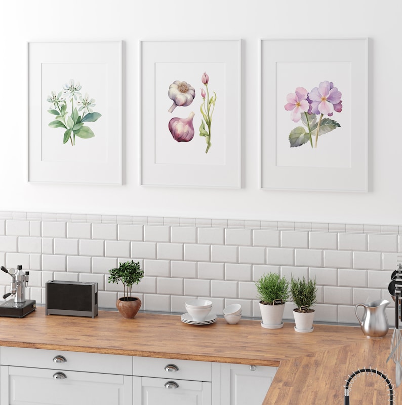 naturopath wall art