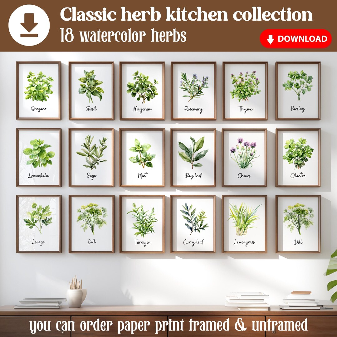 botanical herb prints set of 4 unframed botanical herb... Watercolor Herbs Print Set of 18 Herbs Illustrations Rustic Kitchen ...