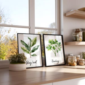 Watercolor Herb Prints Set of 18 – Printable Kitchen Wall Art Bundle ...