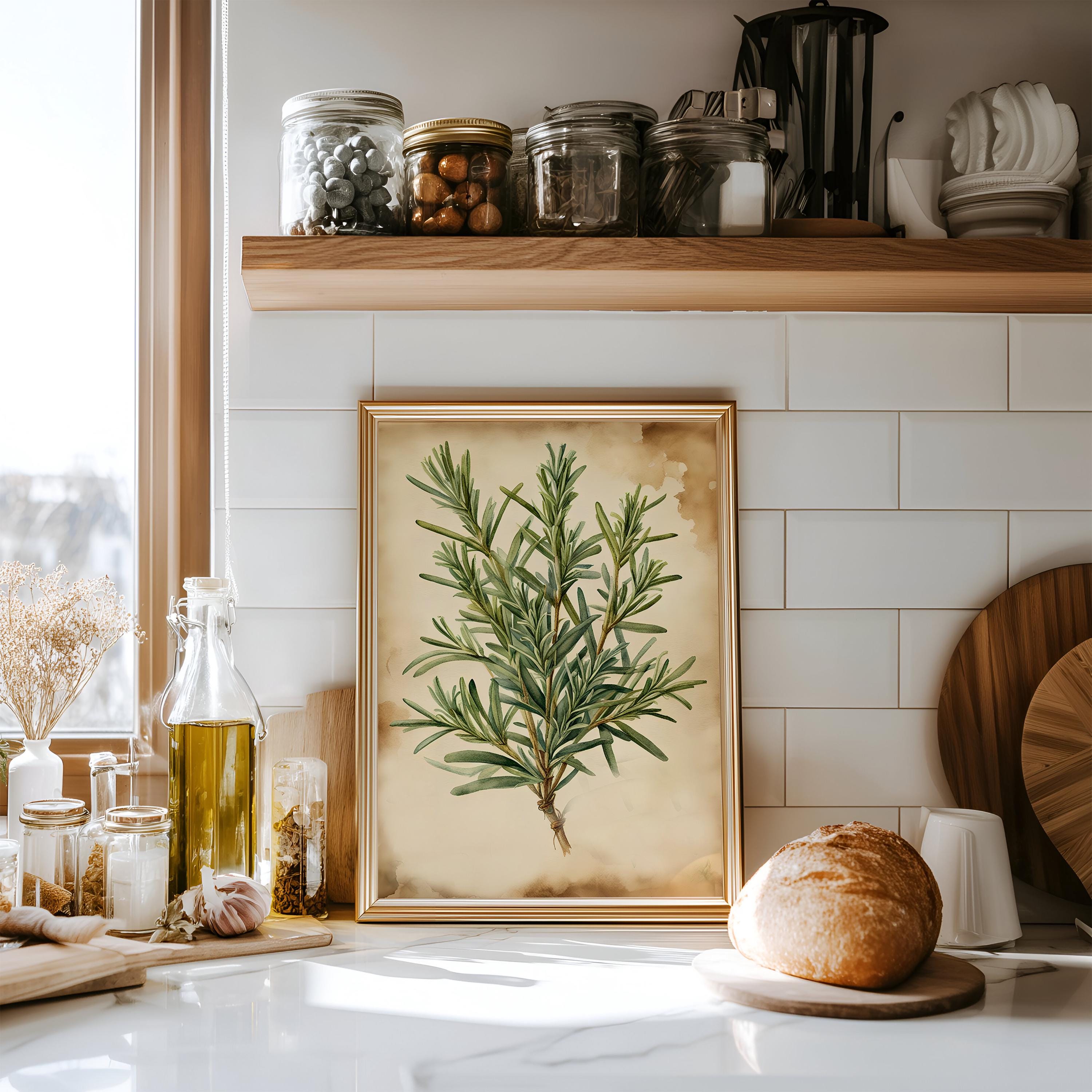 Vintage Watercolor Herb Prints – Rustic Kitchen Wall Art Set | Antique ...